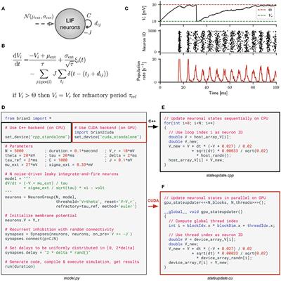 Brian2CUDA: Flexible and Efficient Simulation of Spiking Neural Network Models on GPUs